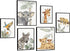 HLJ ART Safari Animal Nursery Wall Art: Woodland Nursery Wall Decor Set
