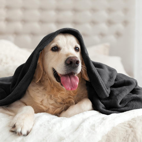BEDELITE Black Fleece Blanket, Luxury Plush Cozy Throw Blanket 50x60 inches, Super Soft Warm Lightweight