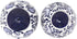 Encantada Handmade Hand-Painted Authentic Mexican Pottery, Salt and Pepper Shaker Set, Blue Flower (MC085F-K2)