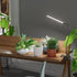 Growing,5000K Starting,Dimmable GooingTop Grow Light for Indoor Plants White Full Spectrum Gooseneck Plant Lamp