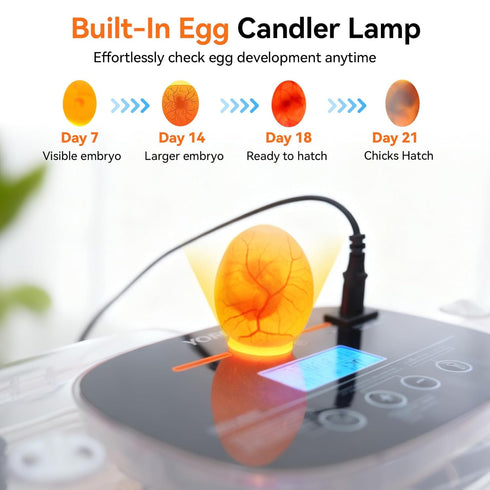 24 360Viewing Incubators for Hatching Eggs, Egg Incubator, Automatic Egg Turner with Humidity Control & Digital