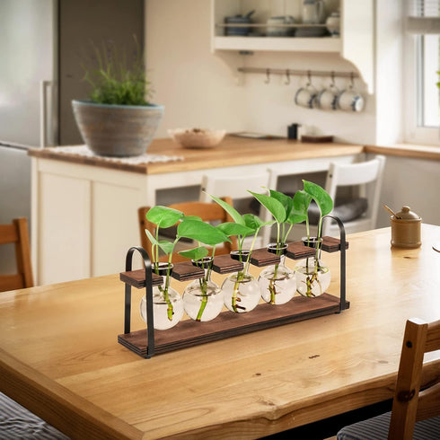 Bulb THYGIFTREE Plant Propagation Stations with Wooden Stand, Desktop Retro Plant Terrarium Vase for Indoor Hydroponic