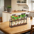 Bulb THYGIFTREE Plant Propagation Stations with Wooden Stand, Desktop Retro Plant Terrarium Vase for Indoor Hydroponic