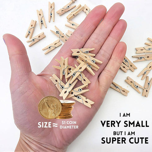 Sturdy Mini Clothes Pins, 150 Pcs 1 Inch Natural Wooden Clothespins with 33 FT Jute Twine for Crafts Display