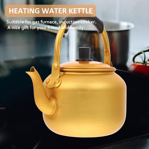 Stainless Steel 1L Hot Water Kettle, Whistling Tea Kettle with Infuser, Gooseneck Pour Over Coffee Pot for Fast Heating