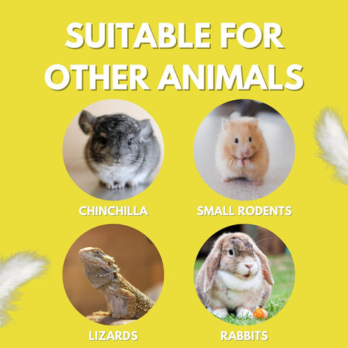 6 lb Chinchillas, (1, Chicken's Choice Chicken Dust Bath, Natural Volcanic Ash Dust Bath for Chickens. Dust Mix