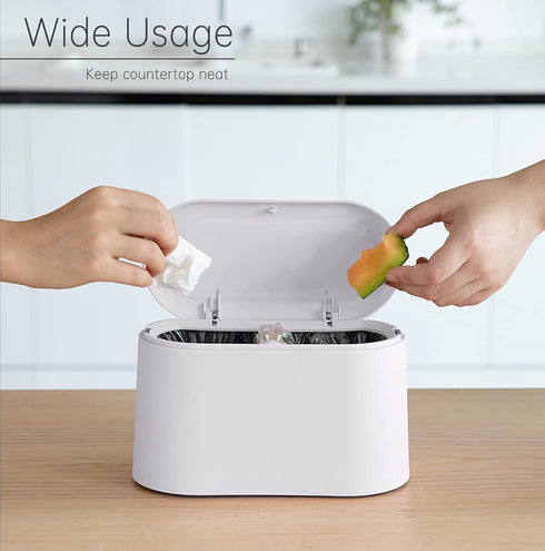 Mini Trash Can with Lid, Removable Small Garbage Can for Bathroom, Office, Kitchen, Countertop Wastebasket