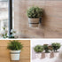 Maosen 6 Inch 6 Pack Plant Holder Ring Wall Mounted, Flower Pot Hangers Metal Plant Stand Hanging Bracket Basket Hooks