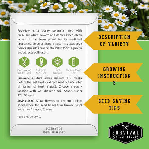 (1 Pack) Feverfew Seeds for Planting - Perennial Daisy-Like Flower Herb, Pollinator Friendly Garden, Easy to Grow