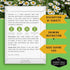 (1 Pack) Feverfew Seeds for Planting - Perennial Daisy-Like Flower Herb, Pollinator Friendly Garden, Easy to Grow