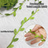 269ft Leaf Ribbon, Baby Shower Decorations, Artificial Vines Leaf String Trim for Jungle Wild Plant Decor