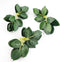 Floroom 35pcs Artificial Green Leaves Bulk Faux Silk Greenery for DIY Wedding Bouquets, Home Decorations