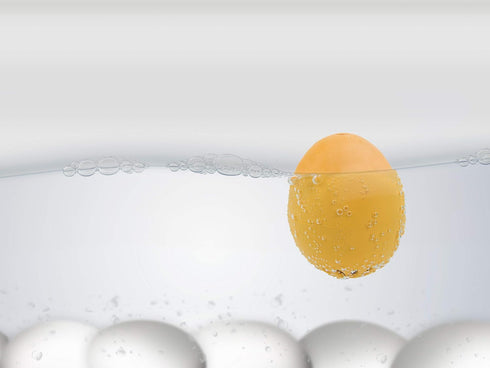 BrainStream BeepEgg Basic Egg Timer, Green - Plays Tunes, Temperature-Sensitive, Made in Germany
