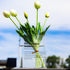 BuyCard Clear Acrylic Book Vase for Flowers, Transparent Flower Vase for Home Decor, Simplicity Bookshelf Decor, Unique