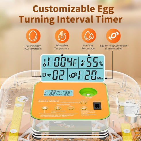 12 Incubator for Hatching Eggs, Temperature and Humidity Control, Automatic and Adjustable Egg Turning & Incubation
