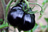 20 Rare Black Tomato Seeds for Planting Around Seeds