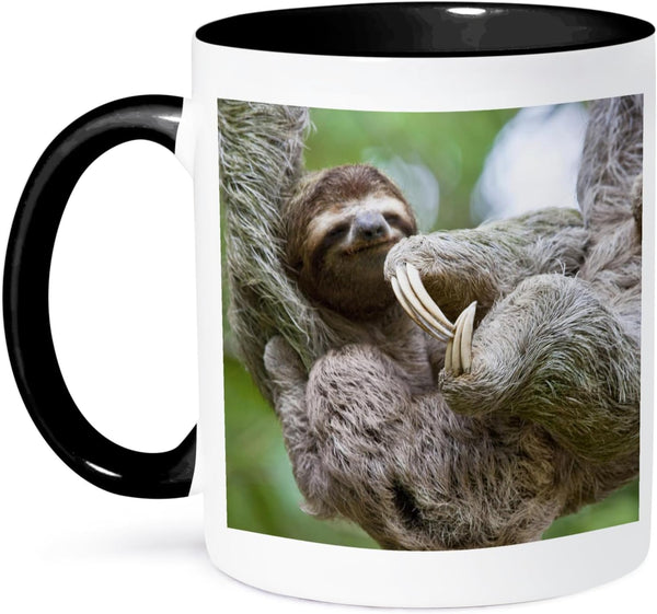 3dRose Brown-Throated Sloth Wildlife Mug, Corcovado Costa Rica, 11 oz, Black/White