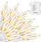 LED Mini Lights with Timer, 18ft 50 LED Battery Operated String Lights, Warm White for Indoor Outdoor Decor