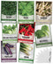 Gardeners Basics, Asian Vegetable Seeds for Planting 8 Packets Bok Choy, Michihili
