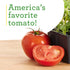 4 Pack 16 oz Bonnie Plants Better Boy Tomato: Live Vegetable Plants, Disease Resistant, Large Fruit Size, Non-GMO, Red