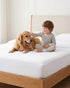2 Pack, 9 Inch 6-Sided Premium Queen Waterproof Mattress Cover Zippered Mattress Protector, Deep, Mattress Encasement