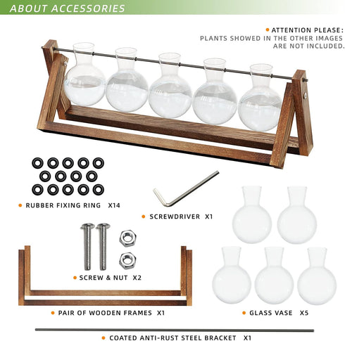 (5 Bulb CFMOUR Plant Terrarium with Wooden Stand, Desktop Propagation Stations Glass Air Planter Metal Swivel Holder
