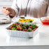 GUSTO [25 Sets 8-Inch Square Foil Pans (Lids Not Included) - Aluminum Pans, Disposable Food Containers For Baking, Cooking, Storing and Preparing Food (Formerly Comfy Package) by GUSTO