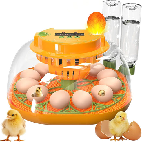 Incubators for Hatching Eggs, 12 Egg Incubator with Automatic Egg Turning and