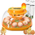 Incubators for Hatching Eggs, 12 Egg Incubator with Automatic Egg Turning and