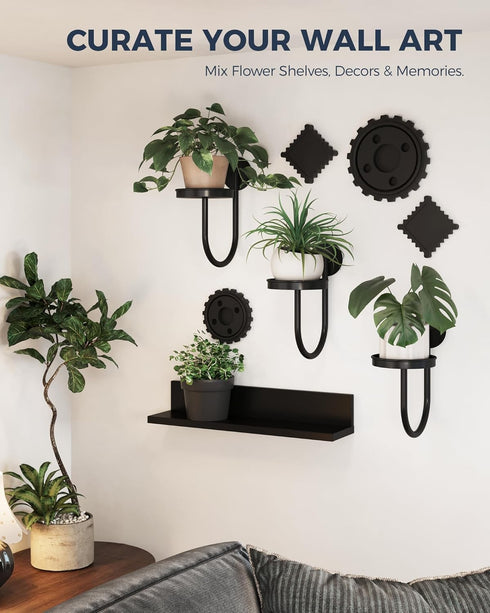 3pcs Bamworld Hanging Planters for Indoor Plants Wall Plant Holder Plant Hanger Indoor Wall Planters Window Plant