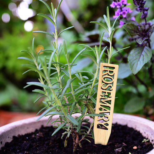 Set 12 Bamboo Herb Markers - of Beautiful Garden Labels - Sturdy Outdoor Garden or Potted Herb Markers