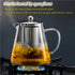 Glass Teapot with Removable Stainless Steel Infuser, Borosilicate Glass Tea Pot for Blooming and Loose Leaf Tea