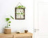 Bulb Mkono Propagation Station Wall Hanging Glass Planter, Flower Vase Plant Terrarium with Retro Wooden Stand Double