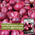 Packet Sow Right Seeds - Ruby Red Onion Seeds for Planting - Non-GMO Heirloom with Instructions to Plant a Home