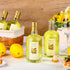 Funnymoom 6 Set 12.7 oz Limoncello Glass Bottles Gift with Airtight Lid Cap Homemade Limoncello Bottles with Labels