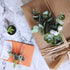 Supla 3 Pcs Realistic Eucalyptus Leaves Bushes, Faux Greenery Stems in Grey Green 14.6" Tall for Vase Bouquets Wreaths