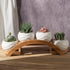 Set, Pack 4, E-liu Succulent Pots and Stand Ceramic White Succulent Planter Pot with Drainage, of Cute Office Garden