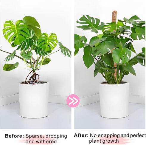 GUIDOT 2 Pack 28 Inch Moss Pole Monstera Plant Support with Repotting Mat, Plant Support Stakes, Plant Sticks Support