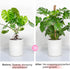GUIDOT 2 Pack 28 Inch Moss Pole Monstera Plant Support with Repotting Mat, Plant Support Stakes, Plant Sticks Support