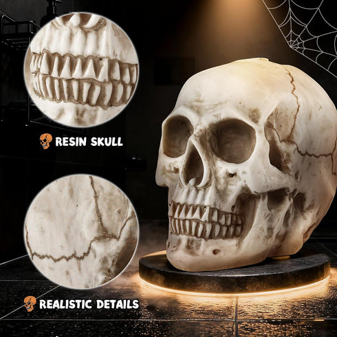 Set Set,Space LadyRosian Toilet Brush and Holder for Bathroom,Skullduggery Skeleton Gothic Bathroom Decor Toilet Bowl
