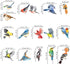 decalmile Spring Summer Birds Double Sided Window Clings, Hummingbird Parrot Window Decals Set of 17 Birds
