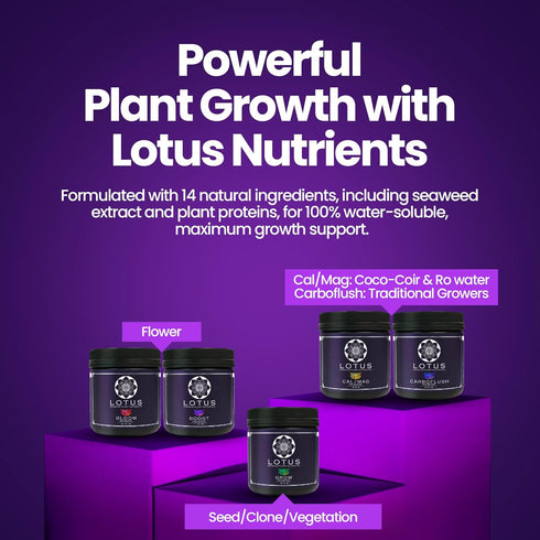 14+ 100% (16oz) Lotus Nutrients Bloom Pro Series, Water Soluble Hydroponic Plant Food for Flowering and Fruiting