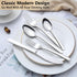 Pleafind 60-Pcs Premium Stainless Steel Silverware Set, Service for 12, Mirror Polished Forks, Spoons, Knives,