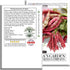 50+ French Horticulture Bean Seeds (Phaseolus vulgaris) Non-GMO Heirloom Seeds by Islas Garden Seeds, Also Known as