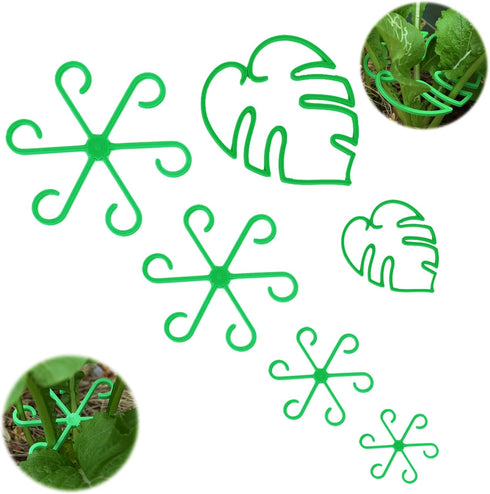 Plant Stem Supports for Indoor Plants, Reusable Monstera Plant Support, Plant Propagation