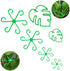 Plant Stem Supports for Indoor Plants, Reusable Monstera Plant Support, Plant Propagation