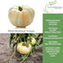 50+ 8090 White Beefsteak Tomato Seeds (Solanum lycopersicum) Heirloom Non-GMO Seeds by Islas Garden Seeds, Large Pale