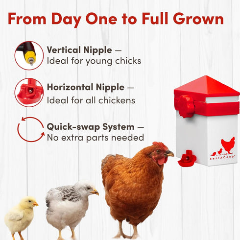 64oz (2 2 RentACoop Liter) Chicken Drinker with Versatile Nipples - Ideal for Baby Chicks, Quail, Small Birds