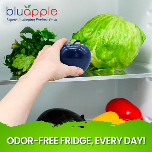 Bluapple Produce Saver Ethylene Gas Absorber 1 Year Combo Pack, 2 Bluapples + 8 Packets, Vegetable & Fruit Freshness