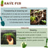 Set: 4 1 Kids Gardening Tools Gloves Cute Shovel Spade for Kid Garden Work with Toddler Gloves for Teen Boy Girls